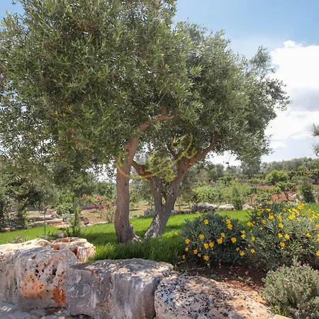 Vila Td Trulli Benedetta W Pool In Peaceful Nature Castellana Grotte
