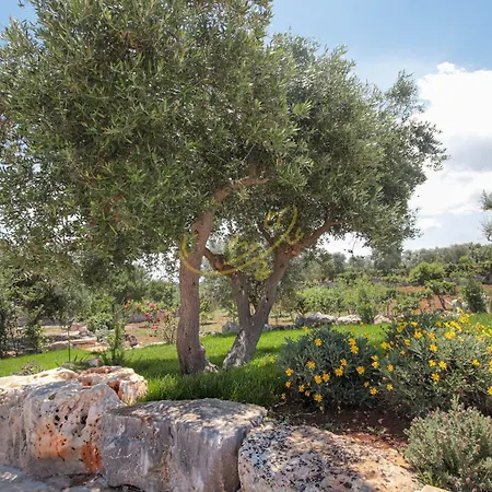 Td Trulli Benedetta With Pool In Peaceful Nature