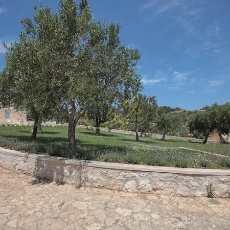 Td Trulli Benedetta With Pool In Peaceful Nature Castellana Grotte